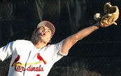 ProBall Baseball Clinic