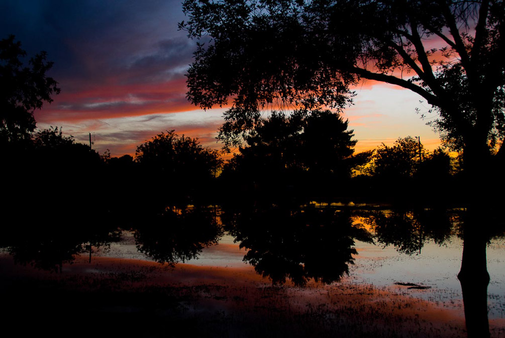 Cortez Park_Phoenix