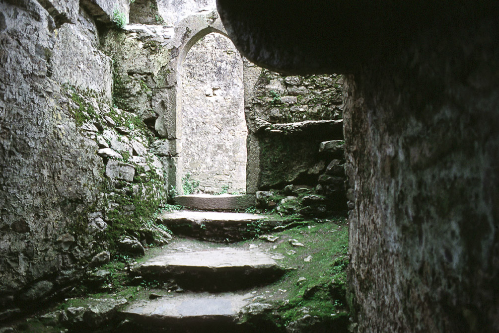 Ireland_Blarney Castle_2