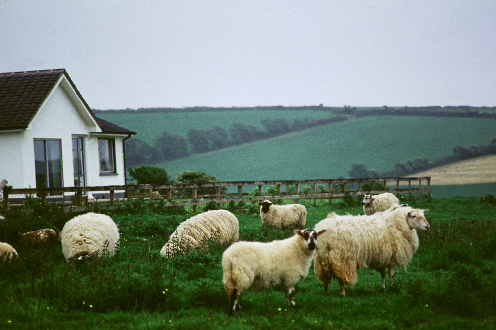 Irish Countryside